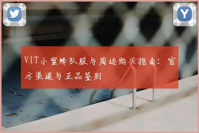 VIT小蜜蜂队服与周边购买指南：官方渠道与正品鉴别