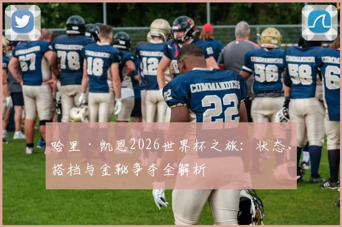 哈里·凯恩2026世界杯之旅：状态、搭档与金靴争夺全解析