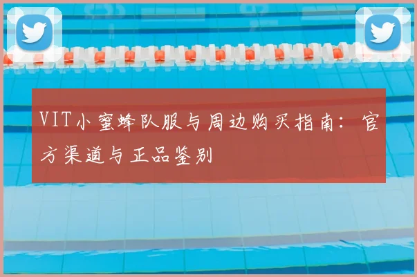 VIT小蜜蜂队服与周边购买指南：官方渠道与正品鉴别
