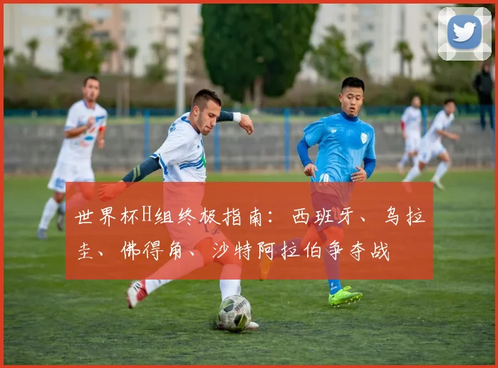 世界杯H组终极指南:西班牙、乌拉圭、佛得角、沙特阿拉伯争夺战